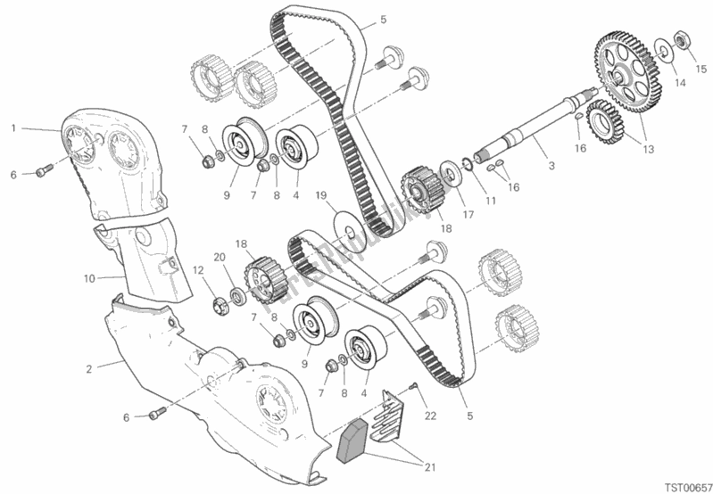All parts for the Timing System of the Ducati Multistrada 950 USA 2020